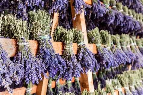 How To Make Lavender Oil Cold Oil Crock Pot Infusion