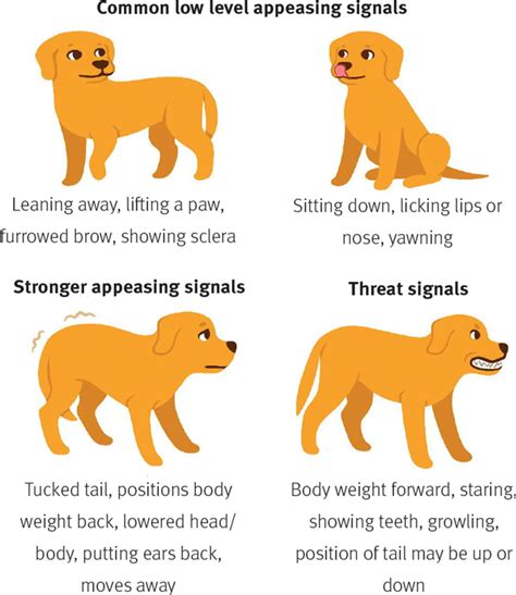A Dog Ear Emotions