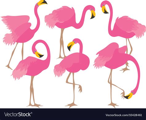 Cartoon Flamingo Royalty Free Vector Image Vectorstock