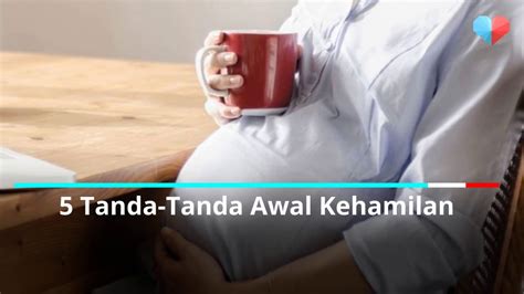 Wanita yang siklus menstruasinya tetap sekalipun bisa mengalami keterlambatan atau berhentinya menstruasi akibat perubahan lingkungan, tekanan. 5 Tanda-tanda Awal Kehamilan - YouTube