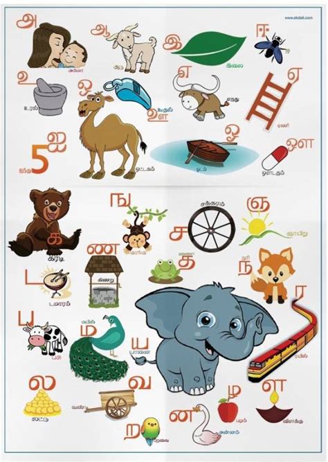 Tamil Alphabet For Kids Single Chart Depicting Both Vowel And