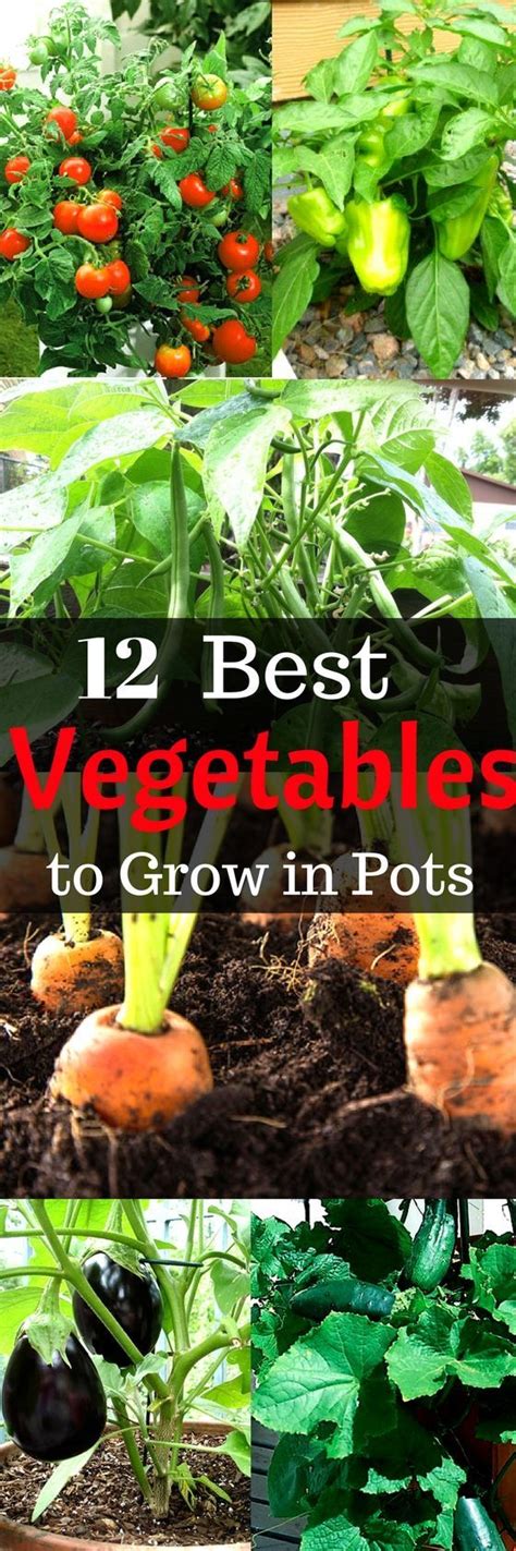 12 Vegetables That Are Easy To Grow Indoors Indoor Vegetable Gardening Growing Vegetables