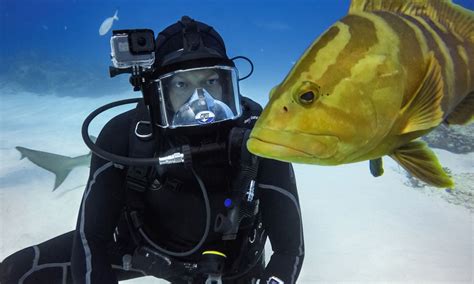 The Best Gear For Underwater Photography Toms Guide