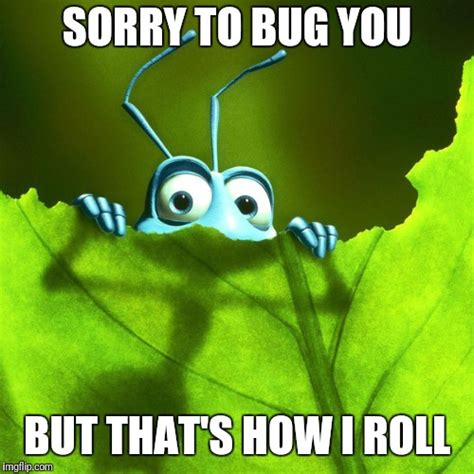 don t be a bug imgflip