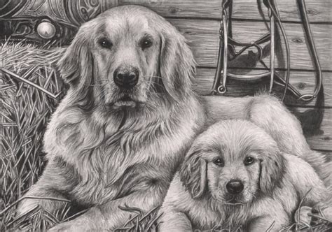 Tweet today's article is all about incredibly realistic pencil drawings of cute and adorable animals. 10 Lovely Dog Drawings for Inspiration - Hative