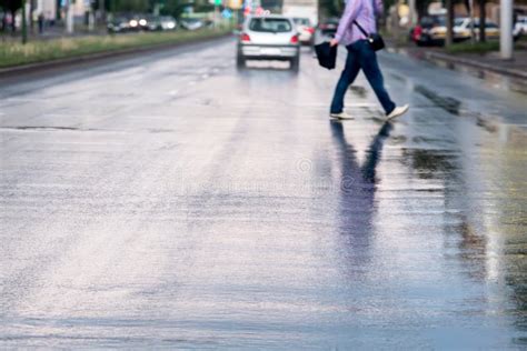 Pedestrian Crossing Rainy Street Stock Image Image Of Rain Rainy