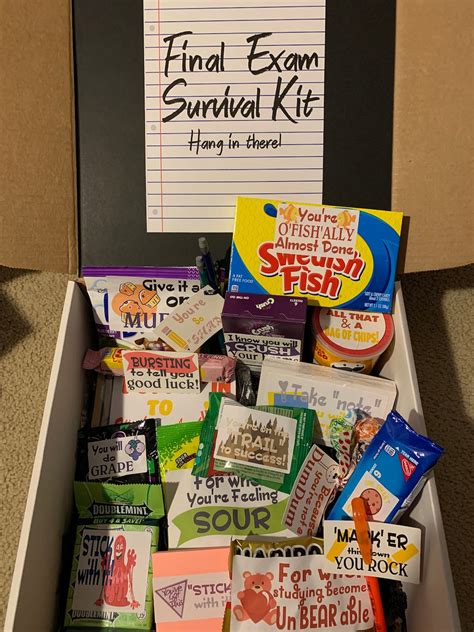 Final Exam Survival Kit College Care Package Build Your Own Snacks