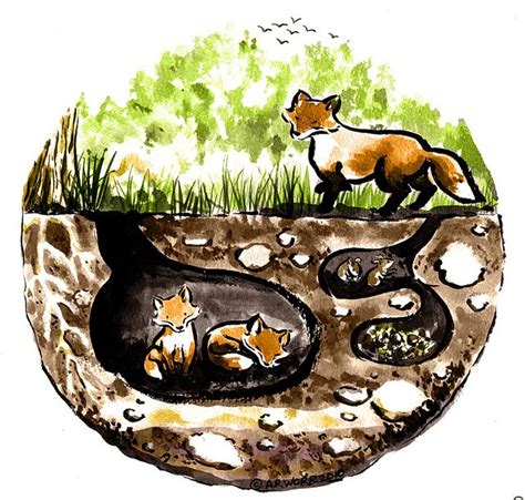 Fox Den Illustration For Kids Pinterest Foxes And Illustrations