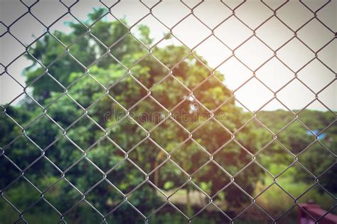 Wire Fences Stock Photo Image Of Bokeh Mesh Chain 94865878