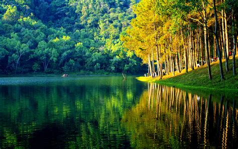 Pang Ung Lake And Mountains Thailand Royalty Free Stock Image