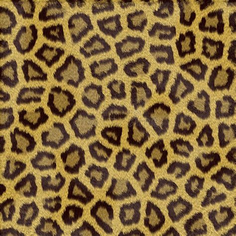 Textura De La Piel Del Leopardo Stock De Ilustración Ilustración De Manera Felino 11347501