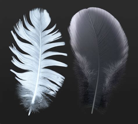 Procedural Feather Textures — Polycount