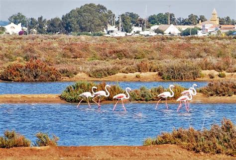 Ria Formosa Natural Park Portugal Travel Guide