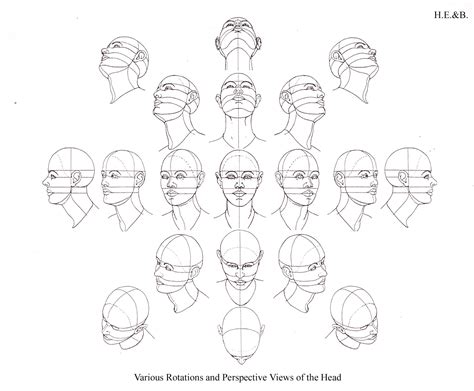 Head Positions Drawing At Getdrawings Free Download