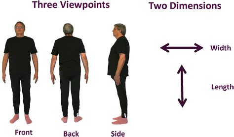 Frontiers The Representation Of Body Size Variations With Viewpoint And Sex