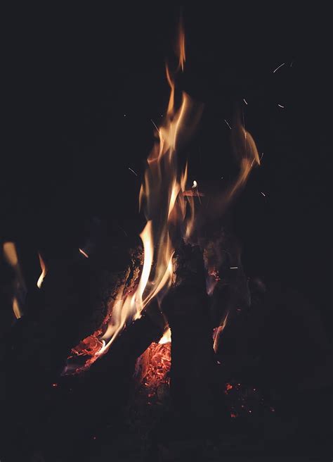 Free Photo Blaze Bonfire Burn Campfire Dark Flame Heat Hippopx