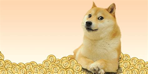 Designed to be actually used day to day. 4chan users are handing out dogecoins like candy | The ...