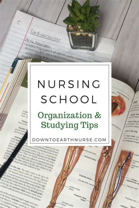 Nursing Student Tips For Studying And Organization Nursing Student