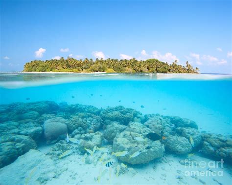 Tropical Island And Underwater Coral Reef Maldives
