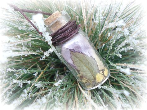 Fresh citrus drinks with lavender. jar-pendant with dried flowers | Dried flowers, Wonderful ...