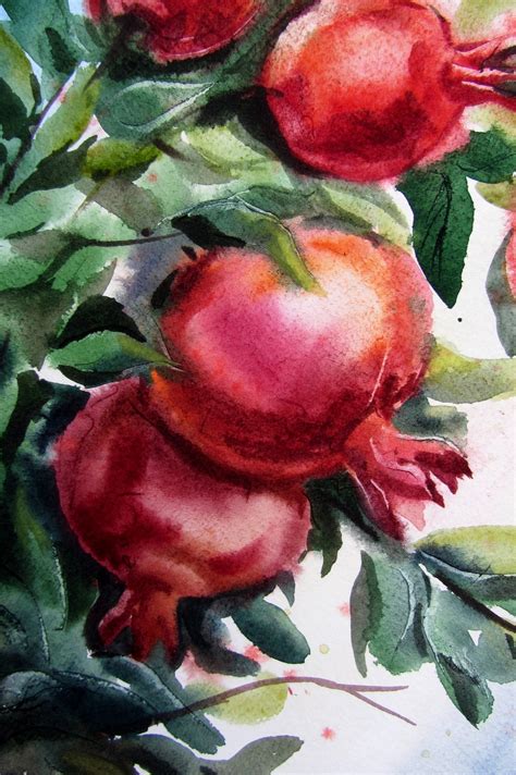 Pomegranate Painting Original Art Watercolor Botanical Red Etsy