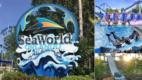 Seaworld Orlando Tips And Tricks To Help Your Day Endless Summer Florida