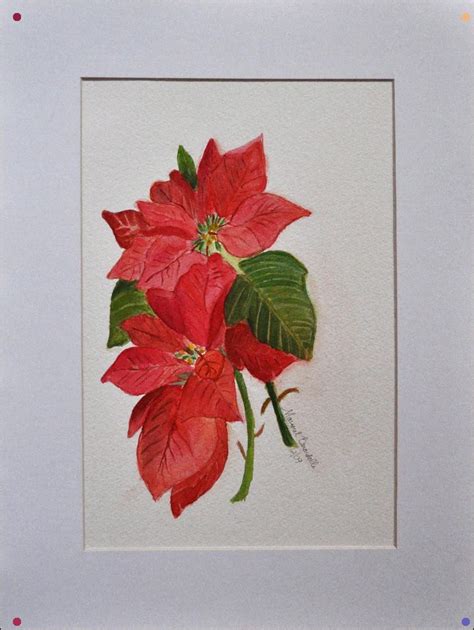 Poinsettia Card Art Original Watercolors Painting
