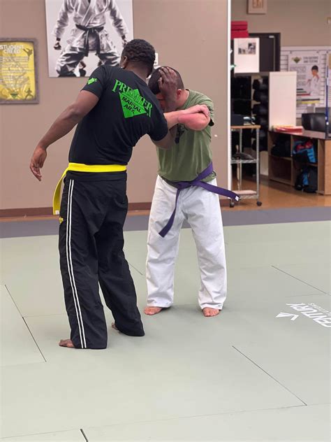 Adult Martial Arts Classes At Premier Martial Arts Lake Wylie Sc