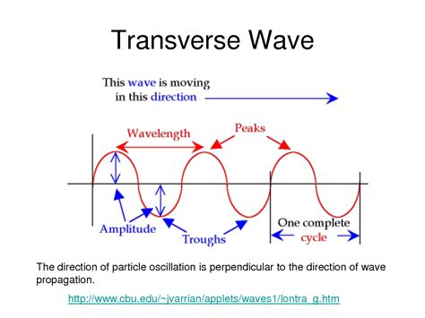 Vibrations and waves honors physics.— 26 wave speed you can find the speed of a wave by multiplying the wave's wavelength in meters by the frequency (cycles per second). Unit 4 - Physics 103 with Sweet at Southern Connecticut ...