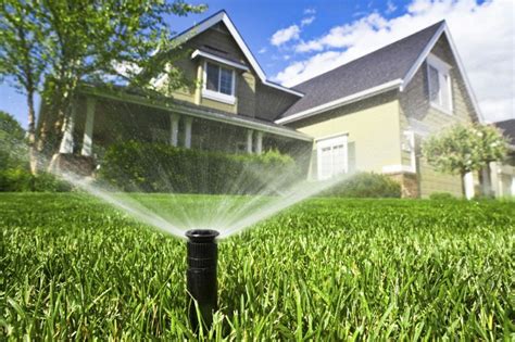 Lawn Watering Tips Lawn Doctor Inc