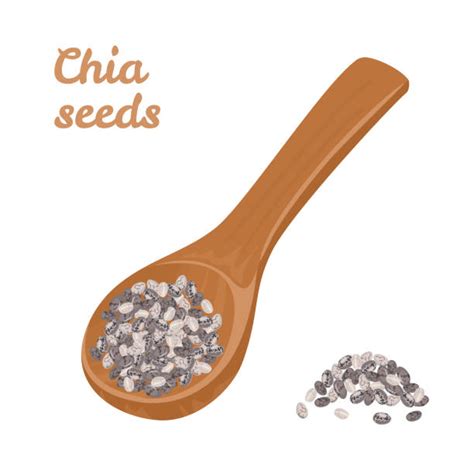 Drawing Of Chia Seeds Illustrations Royalty Free Vector Graphics