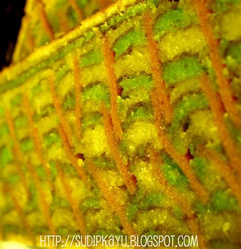 Kek lapis chocolate crunchy peppermint. Almari Resepi: Kek Lapis Sisik Ikan