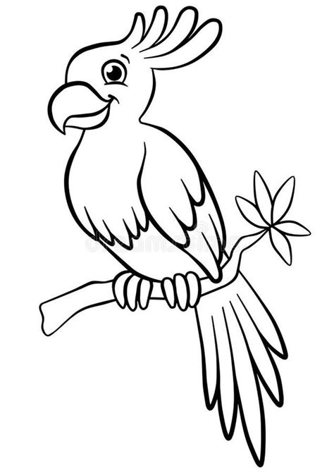 Cute Parrot Coloring Pages Pdf Bird Coloring