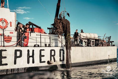 Sea Shepherd Retira Más De 1000 Aparejos De Pesca Ilegal En El Hábitat