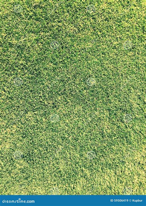 Grass Texture Vintage Effect Stock Image Image Of Turf Blade 59506419