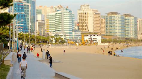 Haeundae Beach Busan Vacation Rentals House Rentals And More Vrbo