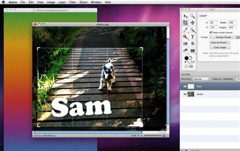 Best Adobe Photoshop Alternatives You Need To Know Online Information