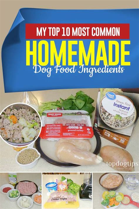 A homemade recipe guaranteed to make your dog healthy and happy! My Top 10 Most Common Homemade Dog Food Ingredients | Dog food recipes, Low calorie dog food ...