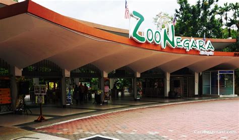 Make your way to zoo negara, malaysia's famous national zoo, located merely 5 kilometers from the city of kuala lumpur. Zoo Negara - Harga Tiket, DISKAUN 10%, Tarikan PALING BEST ...