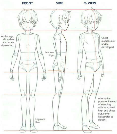 How To Draw An Anime Character From The Side View And Front View Step