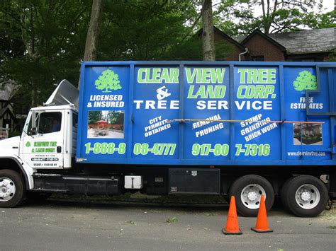The Best Tree Company In Nyc And Long Island Clearview Tree And Land
