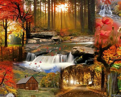 Daily Cool Pictures Gallery 45 Wonderful Autumn