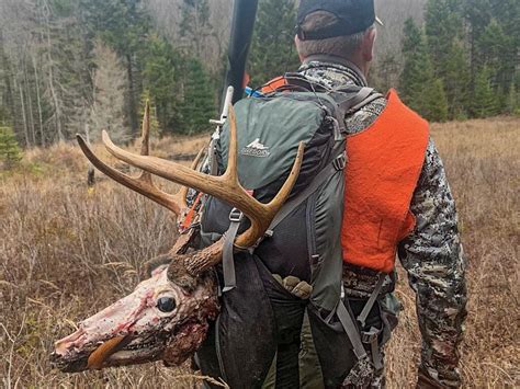 Notes From Deer Camp Hunting Whitetails In The Adirondacks
