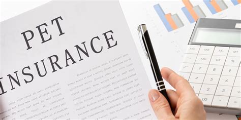 Are Pet Insurance Companies Regulated In The US – And How?