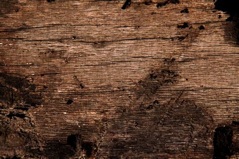 Free Photo Grunge Wood Texture Boards Broken Damaged