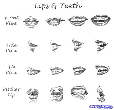 Maybe you would like to learn more about one of these? 1000+ images about Mouths/Lips on Pinterest | Draw lips, Human skull and Character design animation