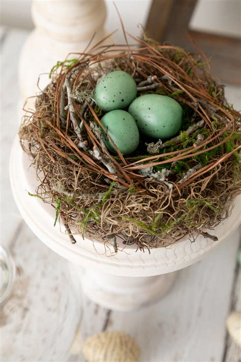 How To Make A Birds Nest Kippi At Home