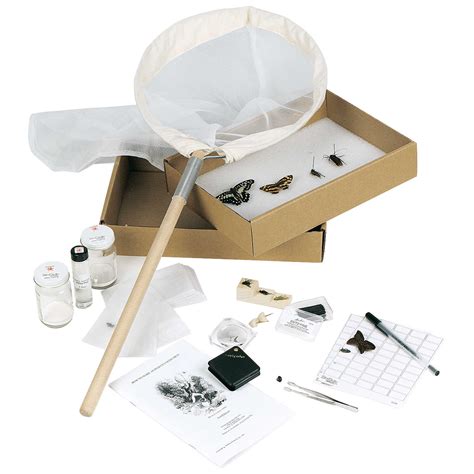 Student Insect Collecting Mounting Kit Forestry Suppliers Inc