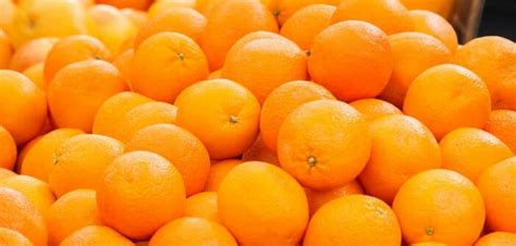La saison des oranges dAfrique du Sud embrouillée par lEgypte