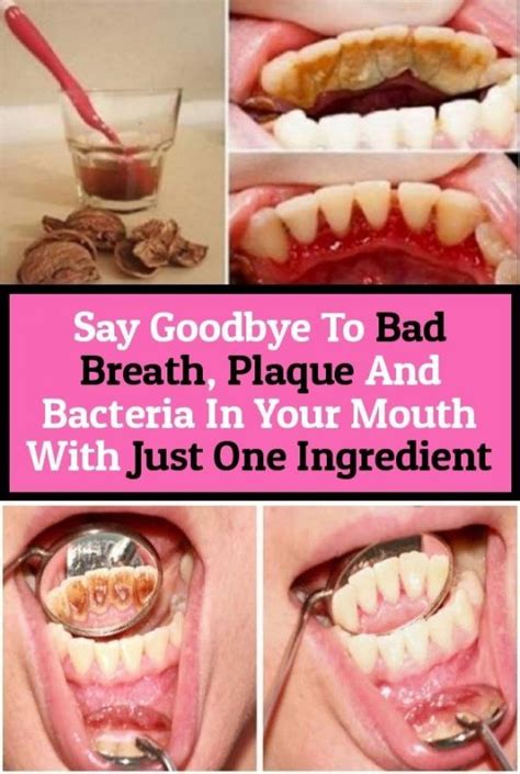 tell bad breath plaque and bacteria with just one ingredient in your mouth in 2020 bad breath
